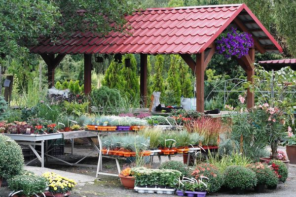 Zahradnictvi Bechovice (Zahradnictví Bechovice, vaší zahrady, Naši odborníci, široký výběr, vaši zahradu) Zahradnictvi Bechovice