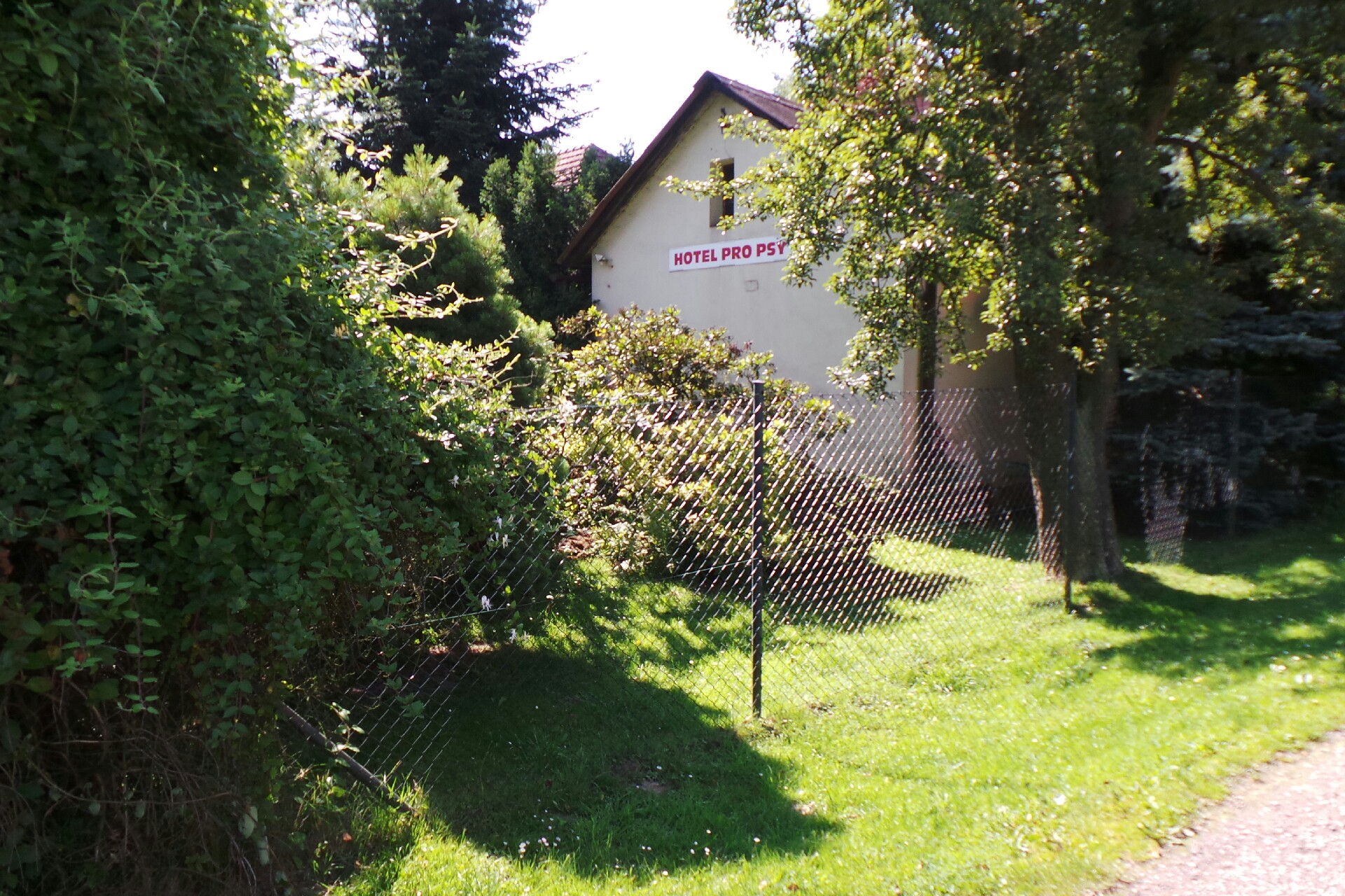 Hotel pro psy, úprava psů - Tadeáš Šalonek