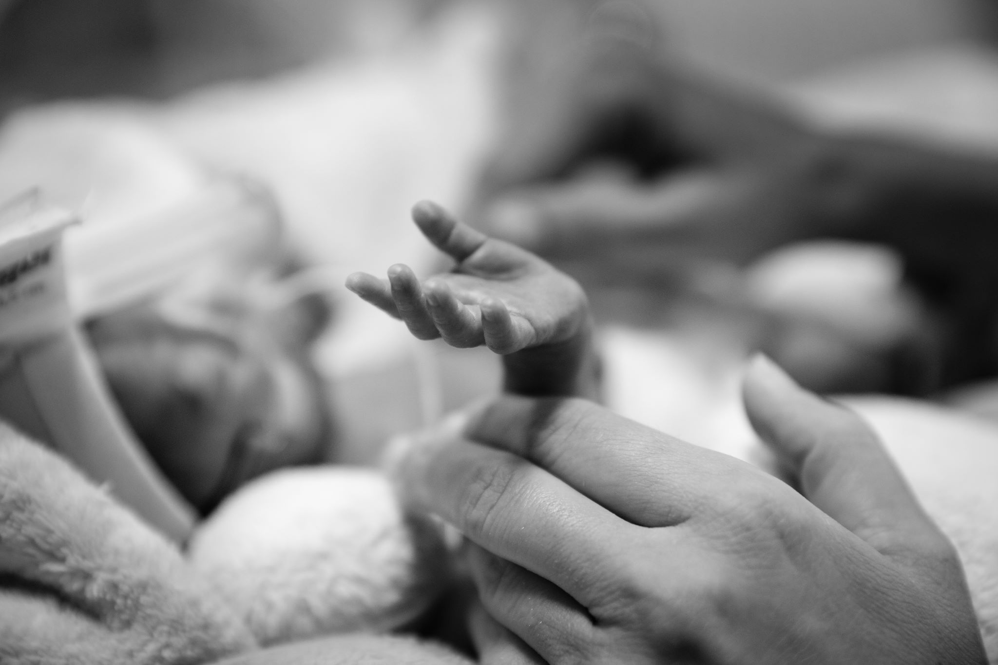 Nadační fond pro předčasně narozené děti a jejich rodiny foto 6