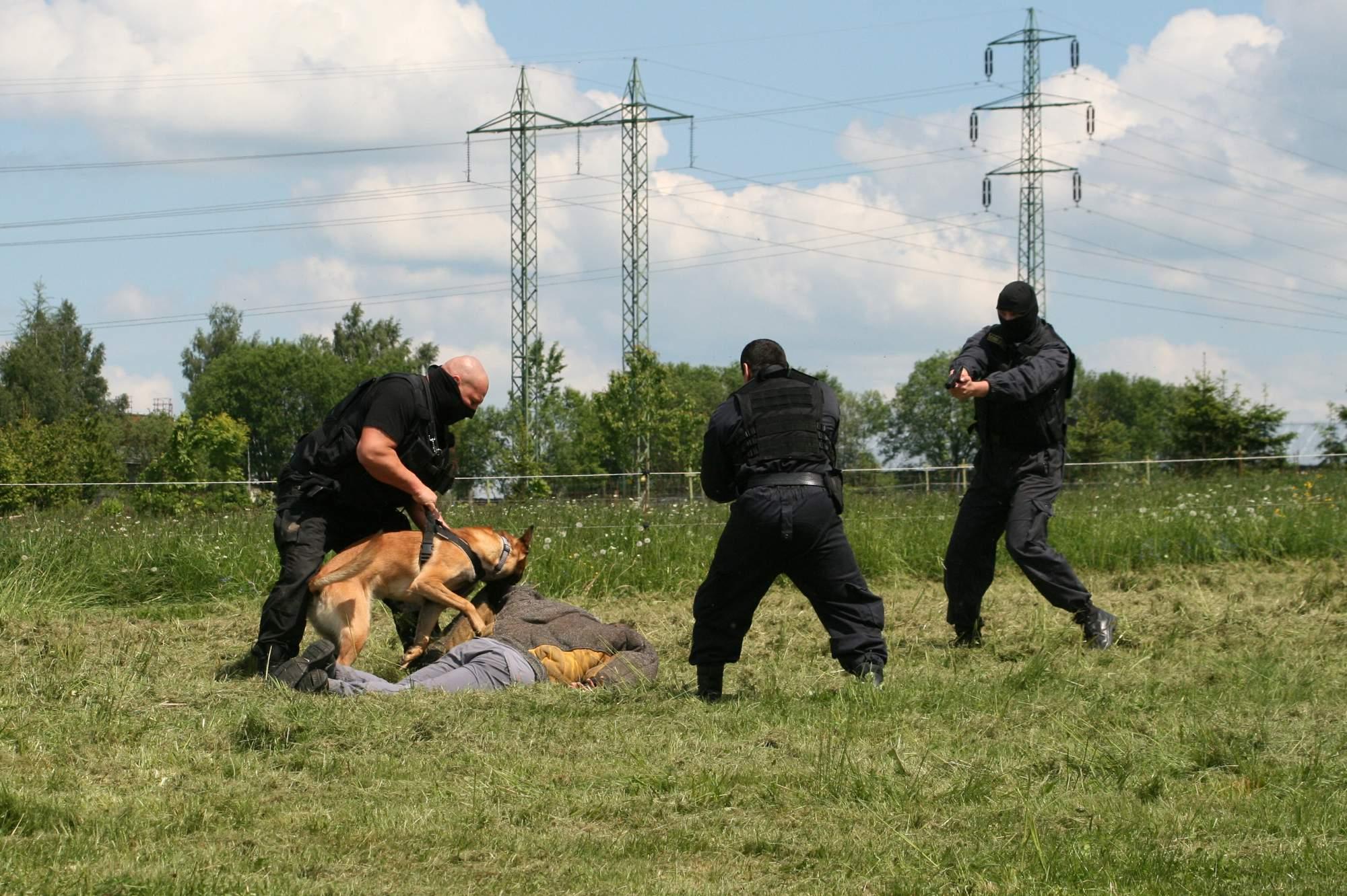 SECURITY DUŠEK s.r.o.