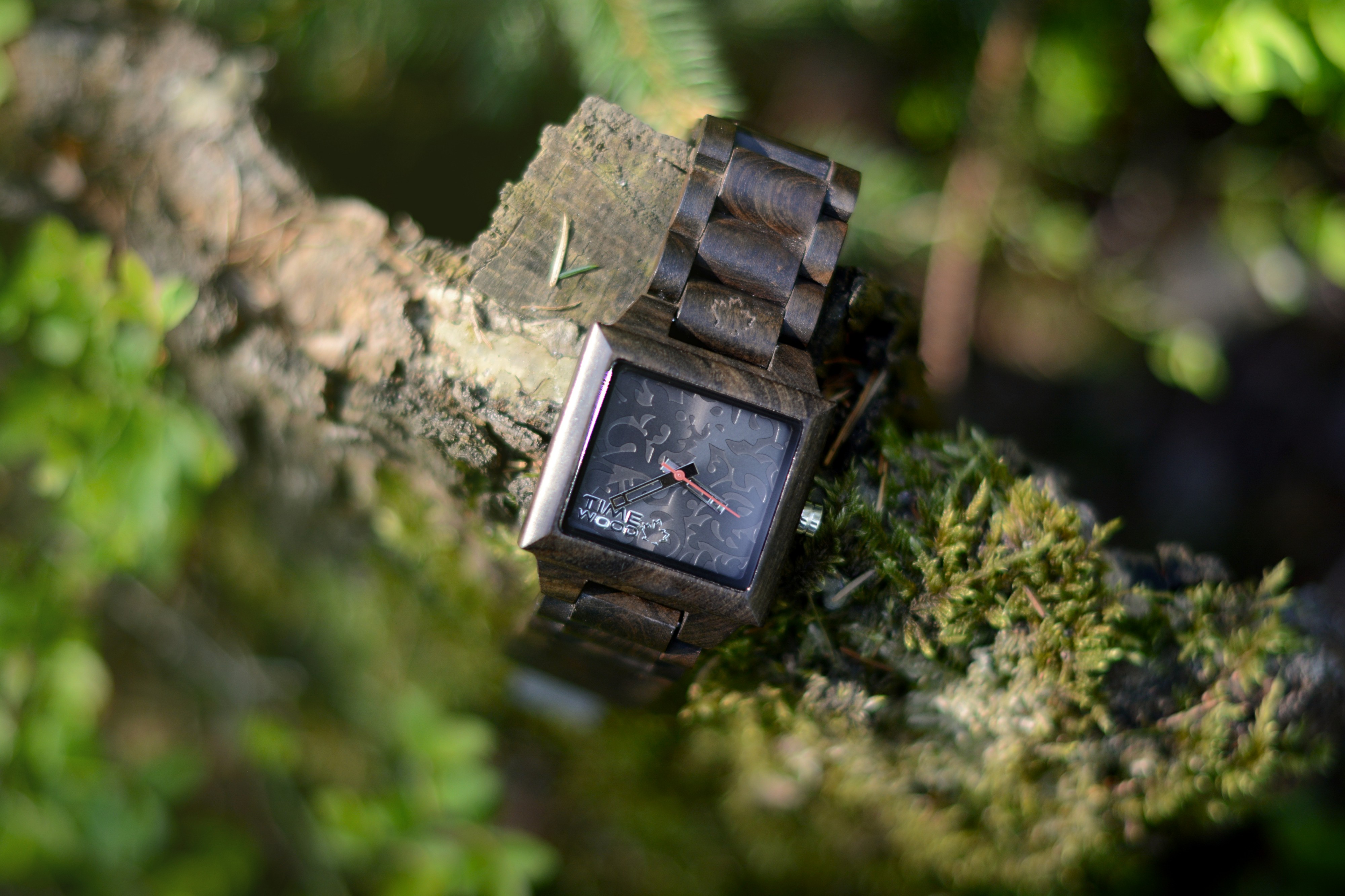 TIMEWOOD foto 6
