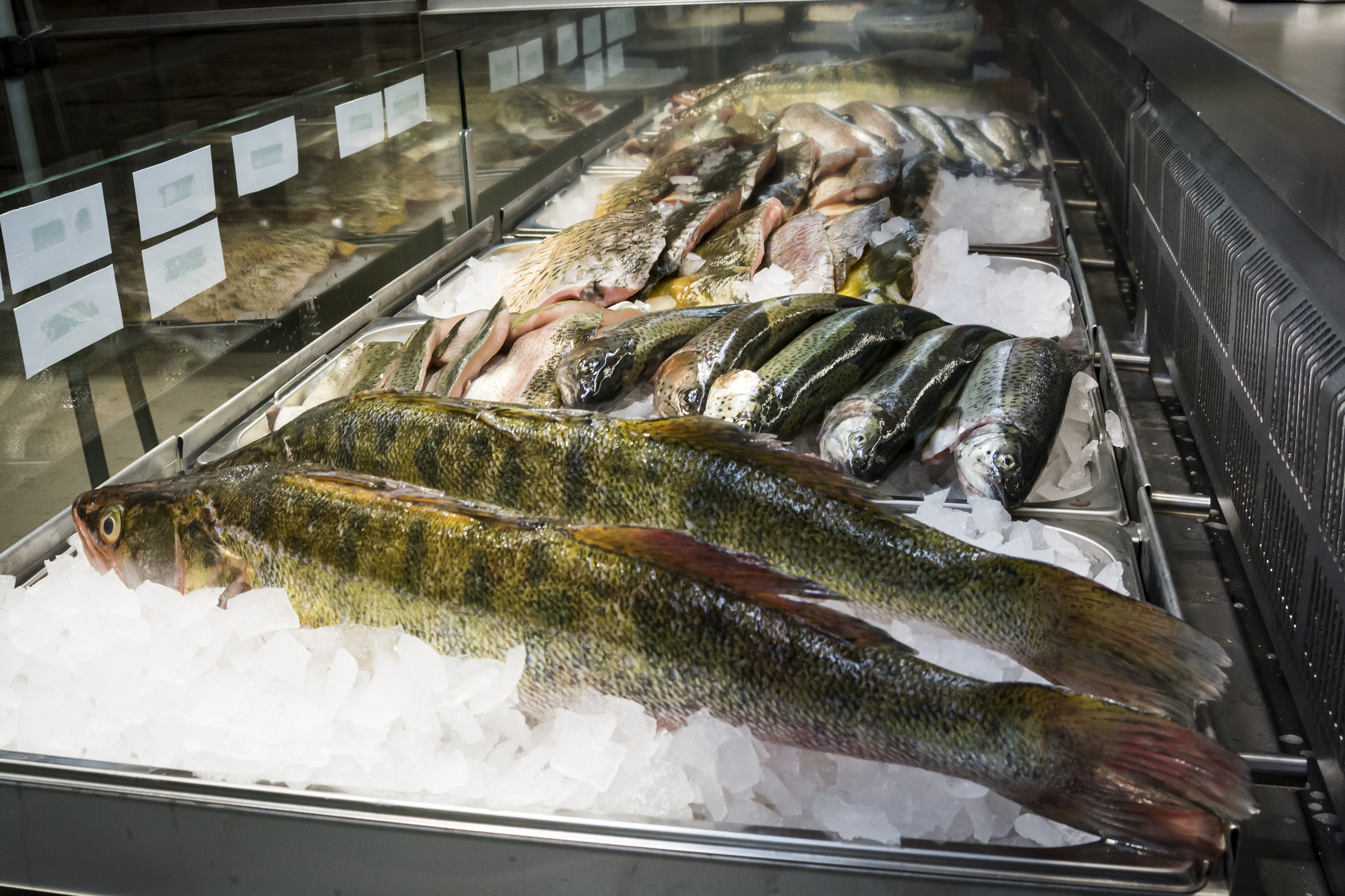 Sádky Lahovice foto 3