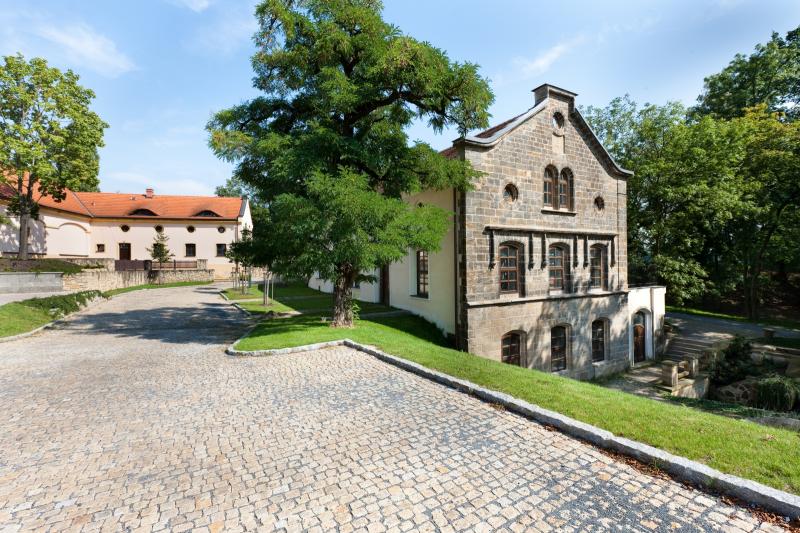 PIZZA & PASTA RESTAURANT AL MULINO foto 2