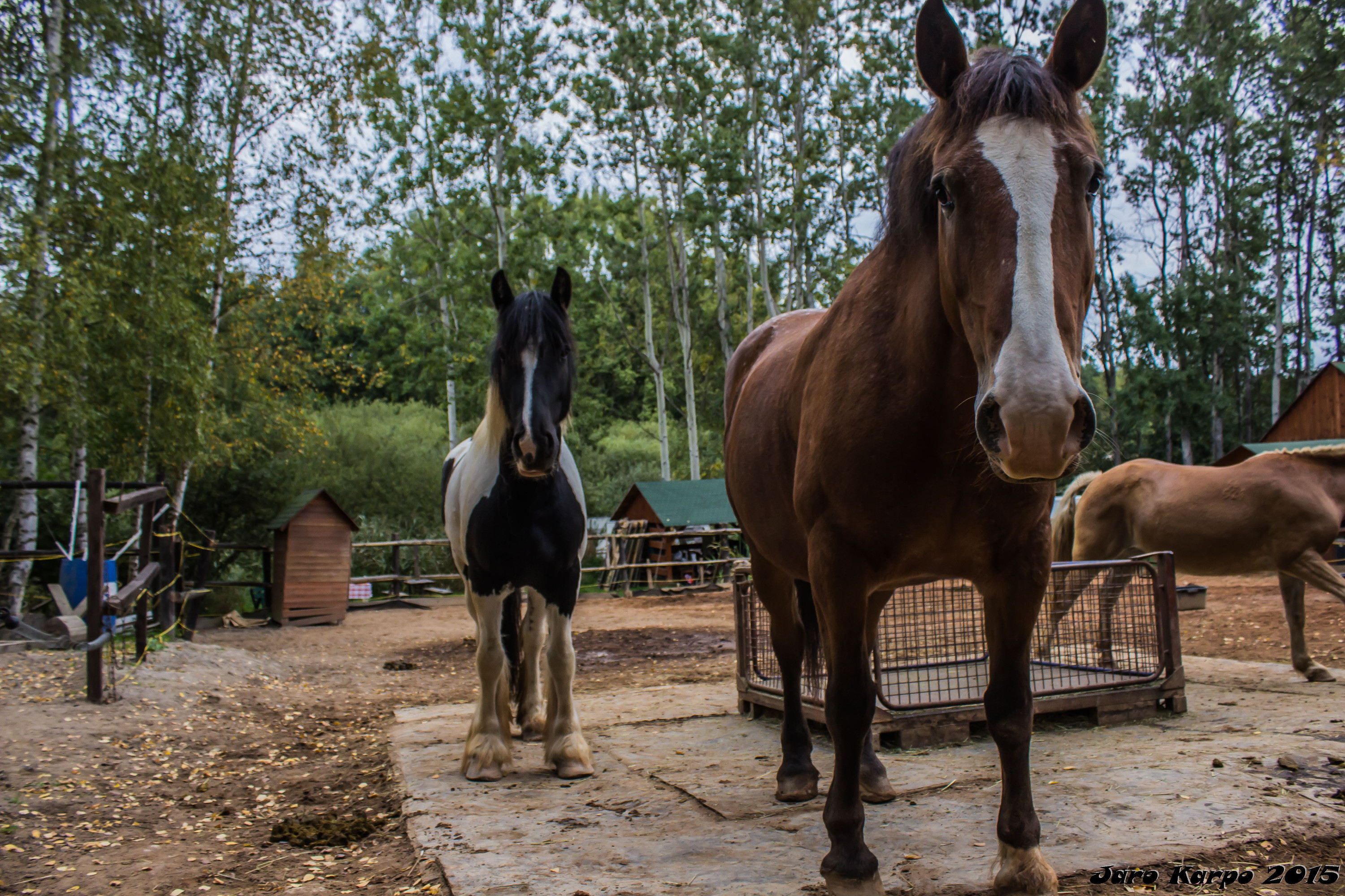 Ranč Šídlovák foto 2