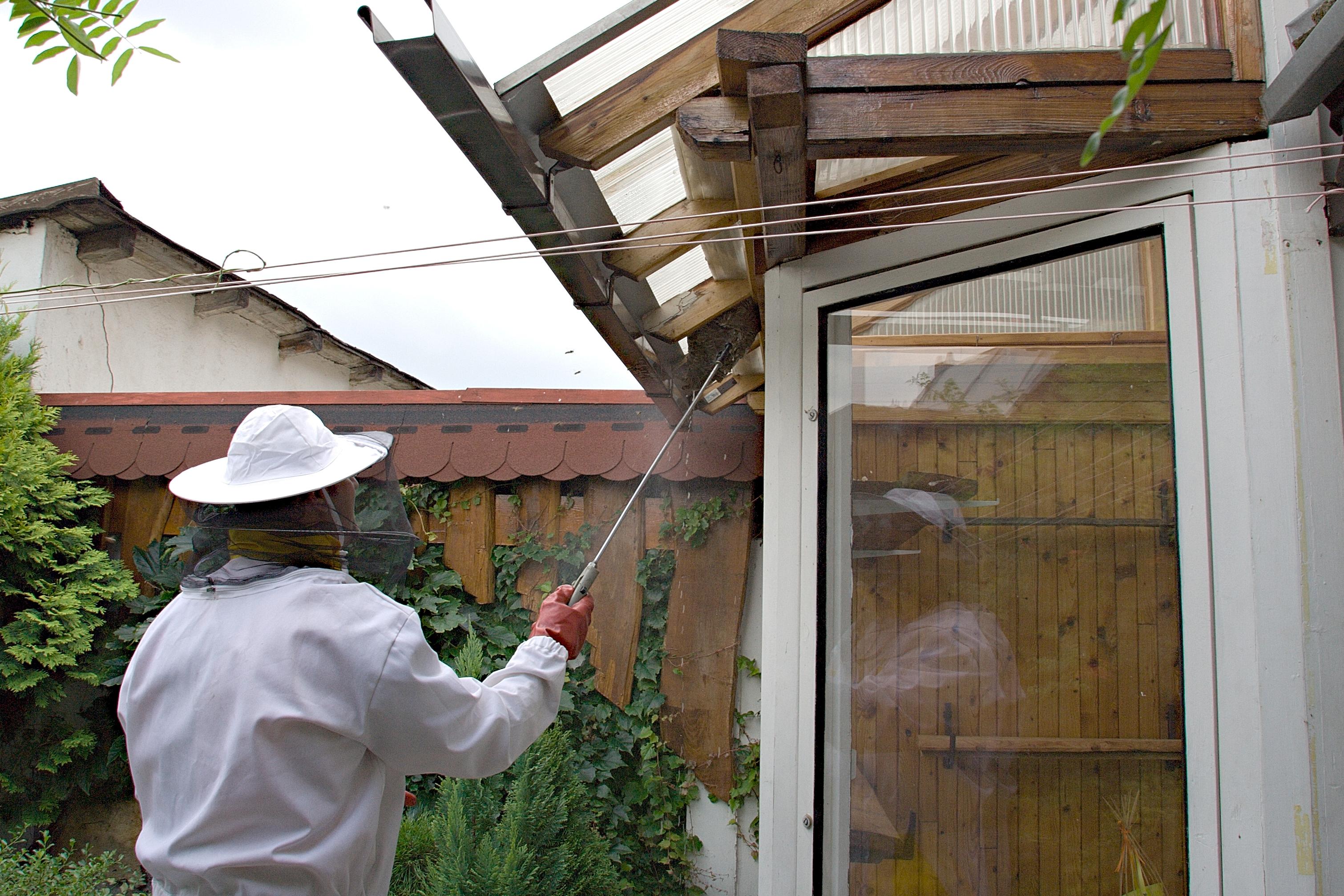 Martin Kelnar foto 1