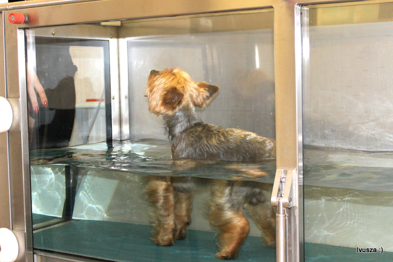 Veterinární klinika LIFE, s.r.o. foto 2