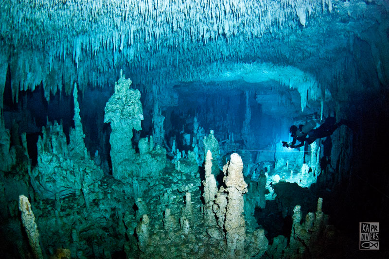 Kapr Divers foto 6