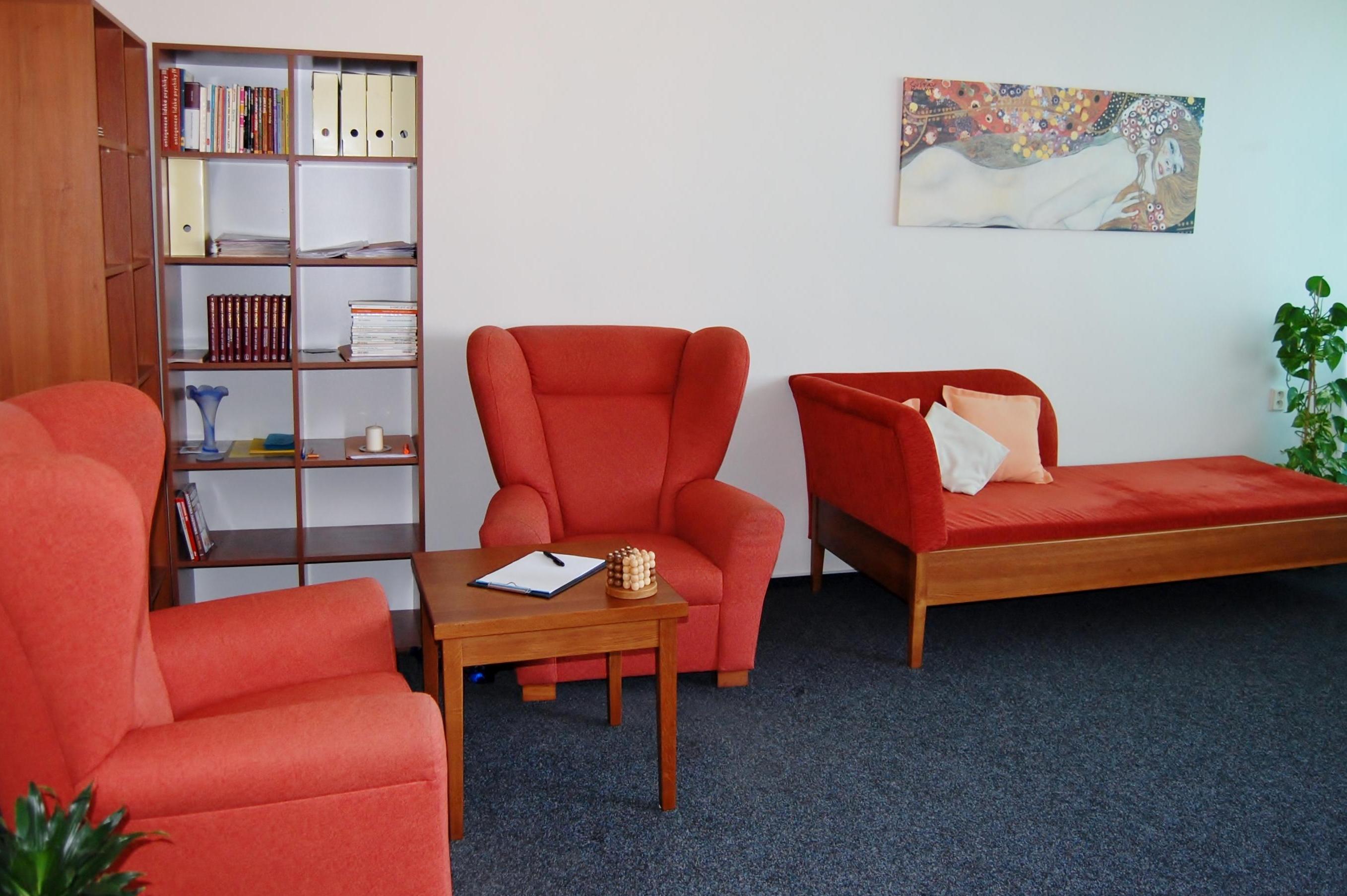 Mgr. et Bc. Vladimír Sácký - Psychoterapie foto 2