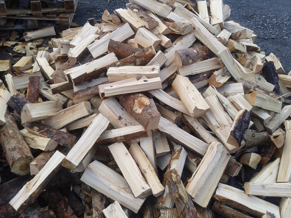 Lesy Sv. Hubert s.r.o. foto 2