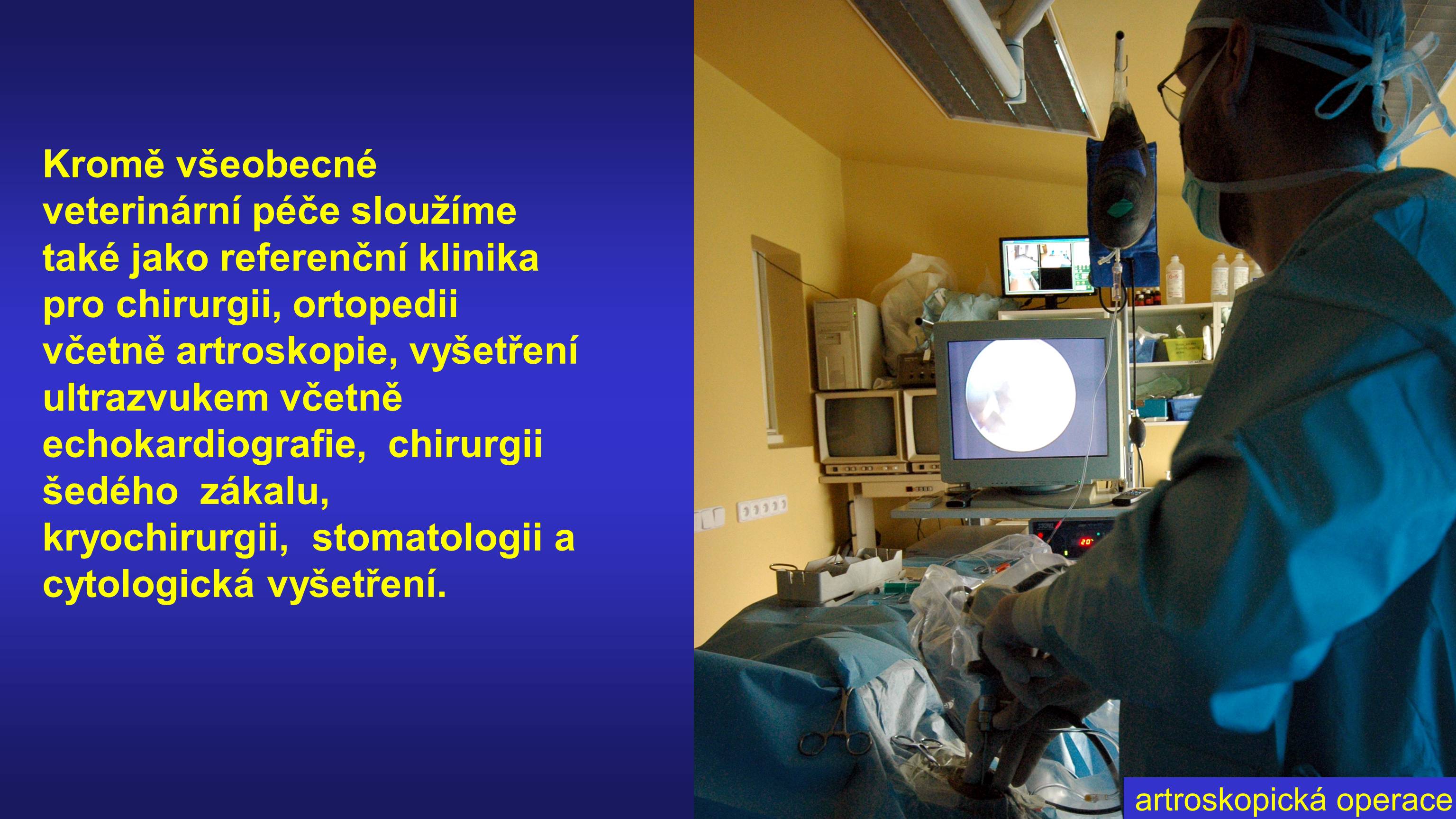 Veterinární klinika Klánovice foto 4