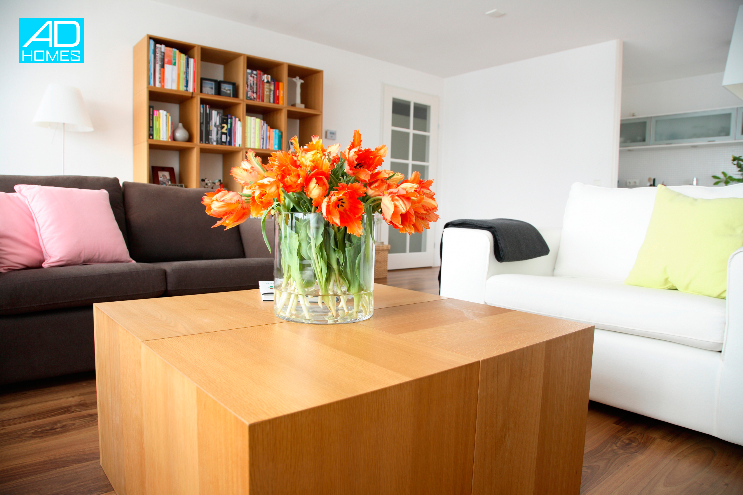 Ad HOMES foto 4