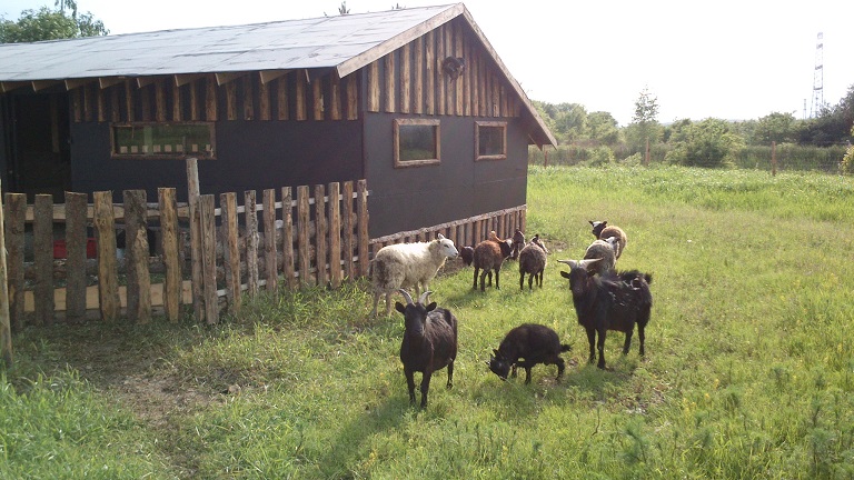 Sportovní areál Šeberov foto 2