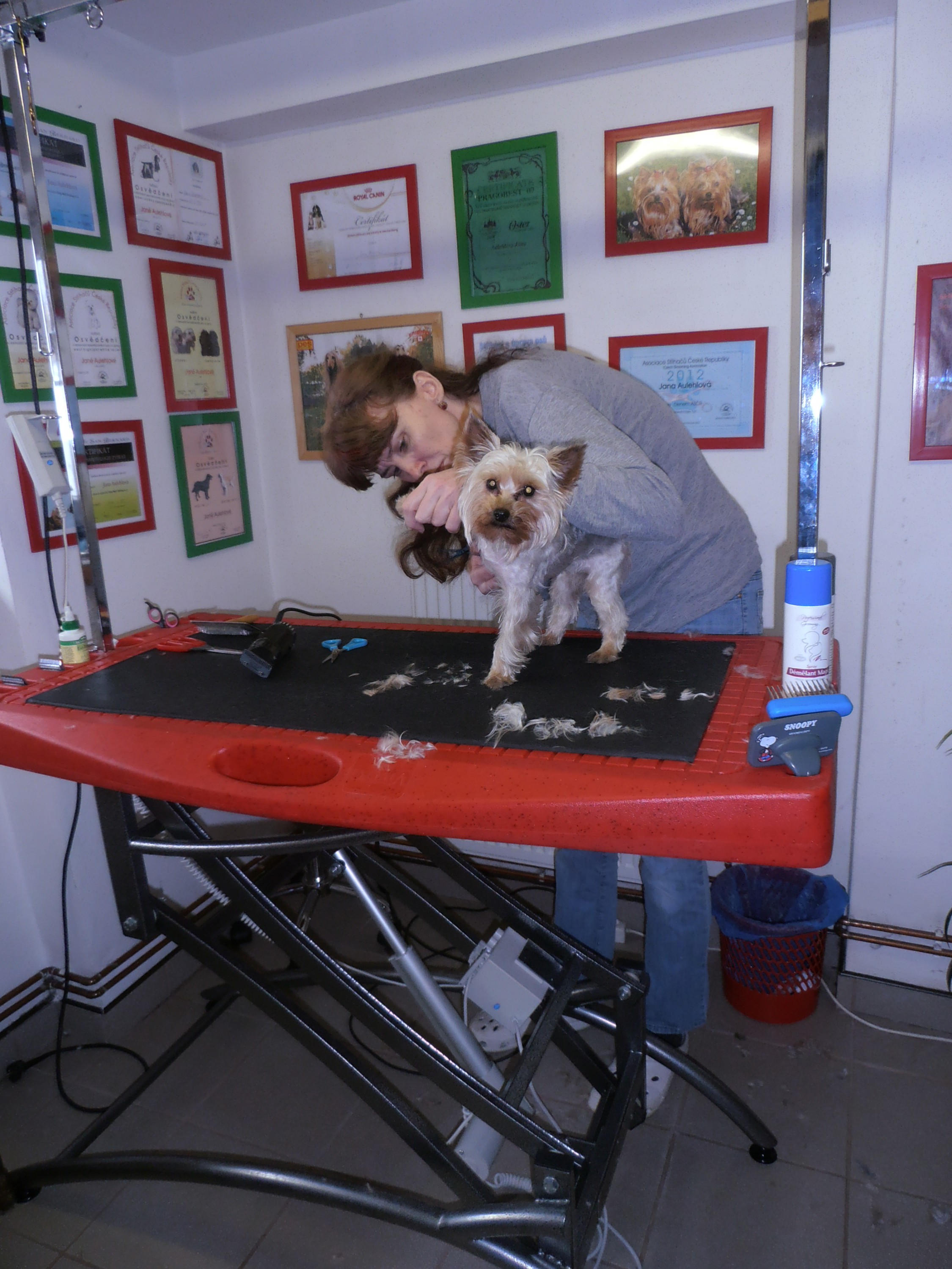 Salon pro psy U Potoka foto 5