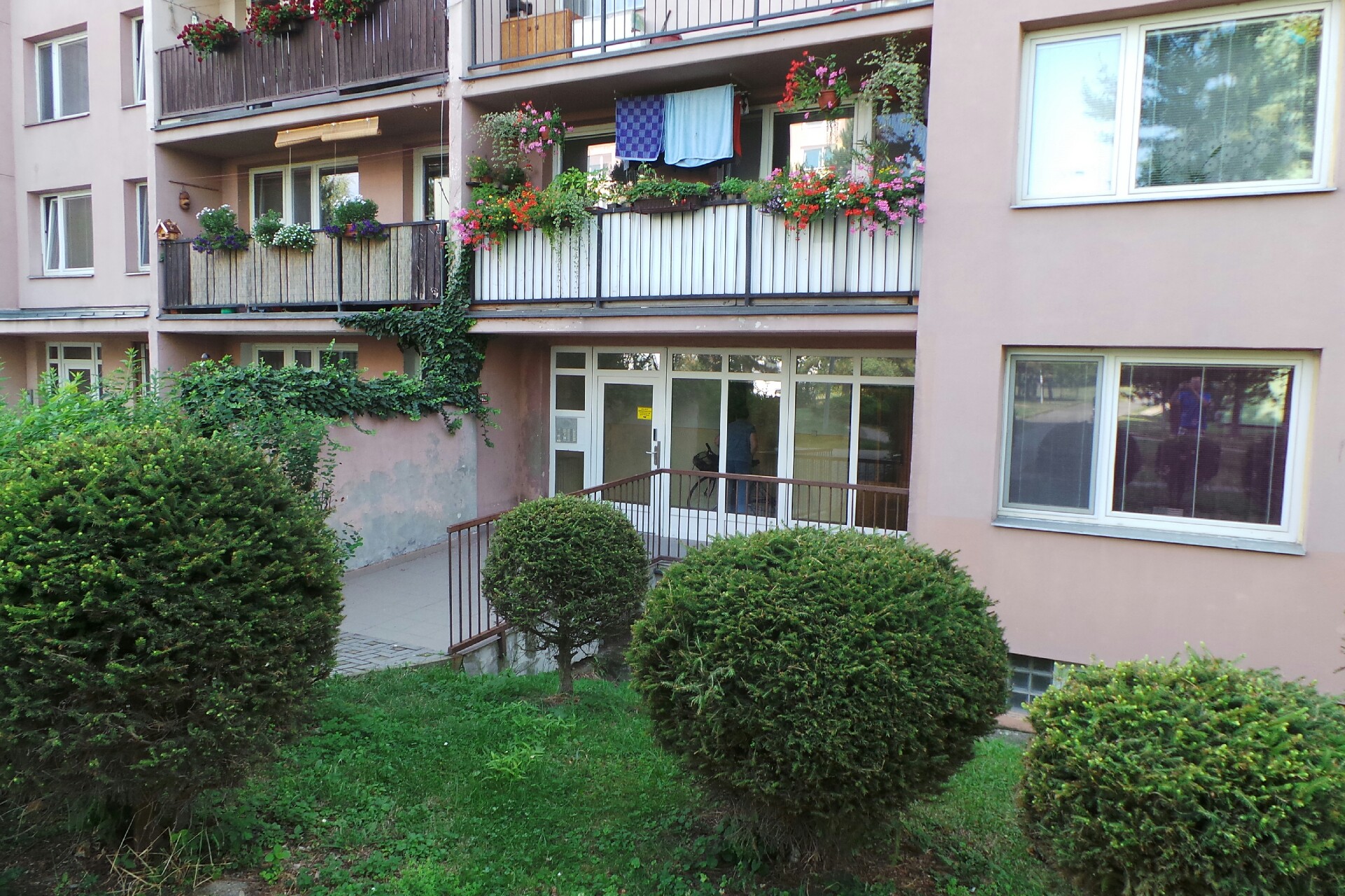 SOJKA – spolek mladých