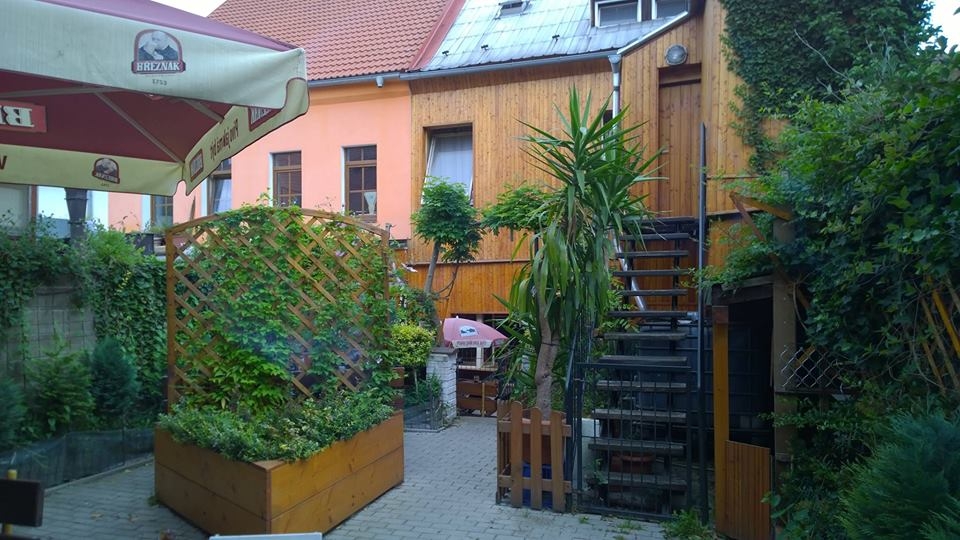 Pivnice U Sršně