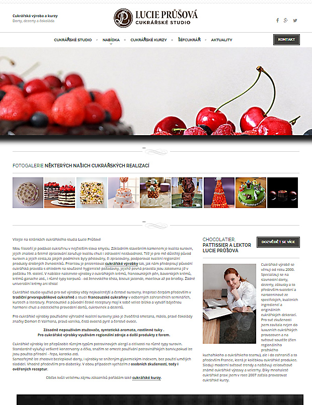 Vyroba-Webu.cz foto 3