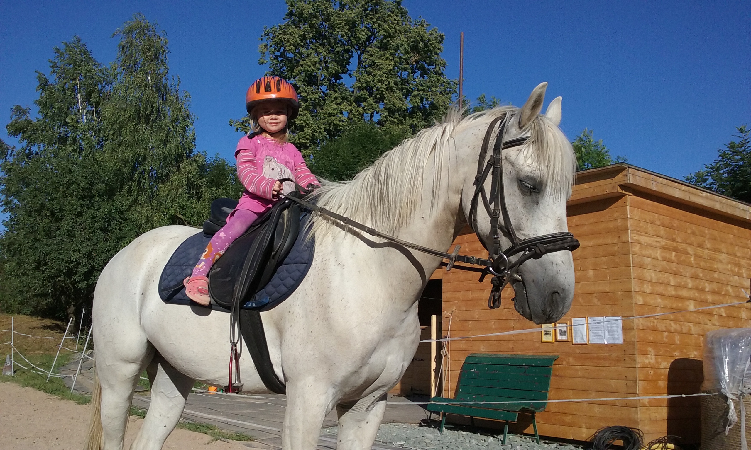 Petra Vávrová foto 2