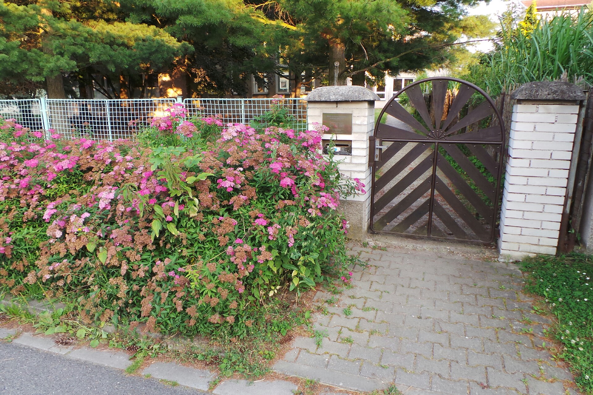 MUDr. Světlana Drábková foto 1