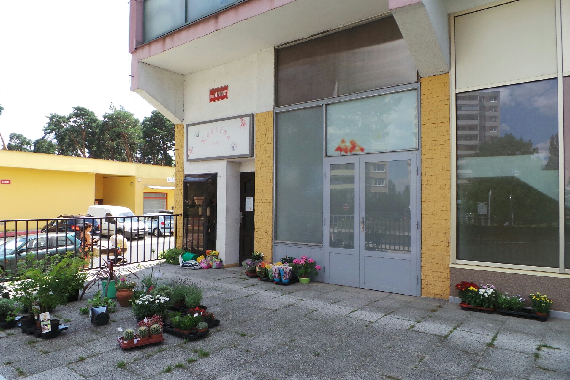 Ing. Kamil Doležal - okrasné ryby