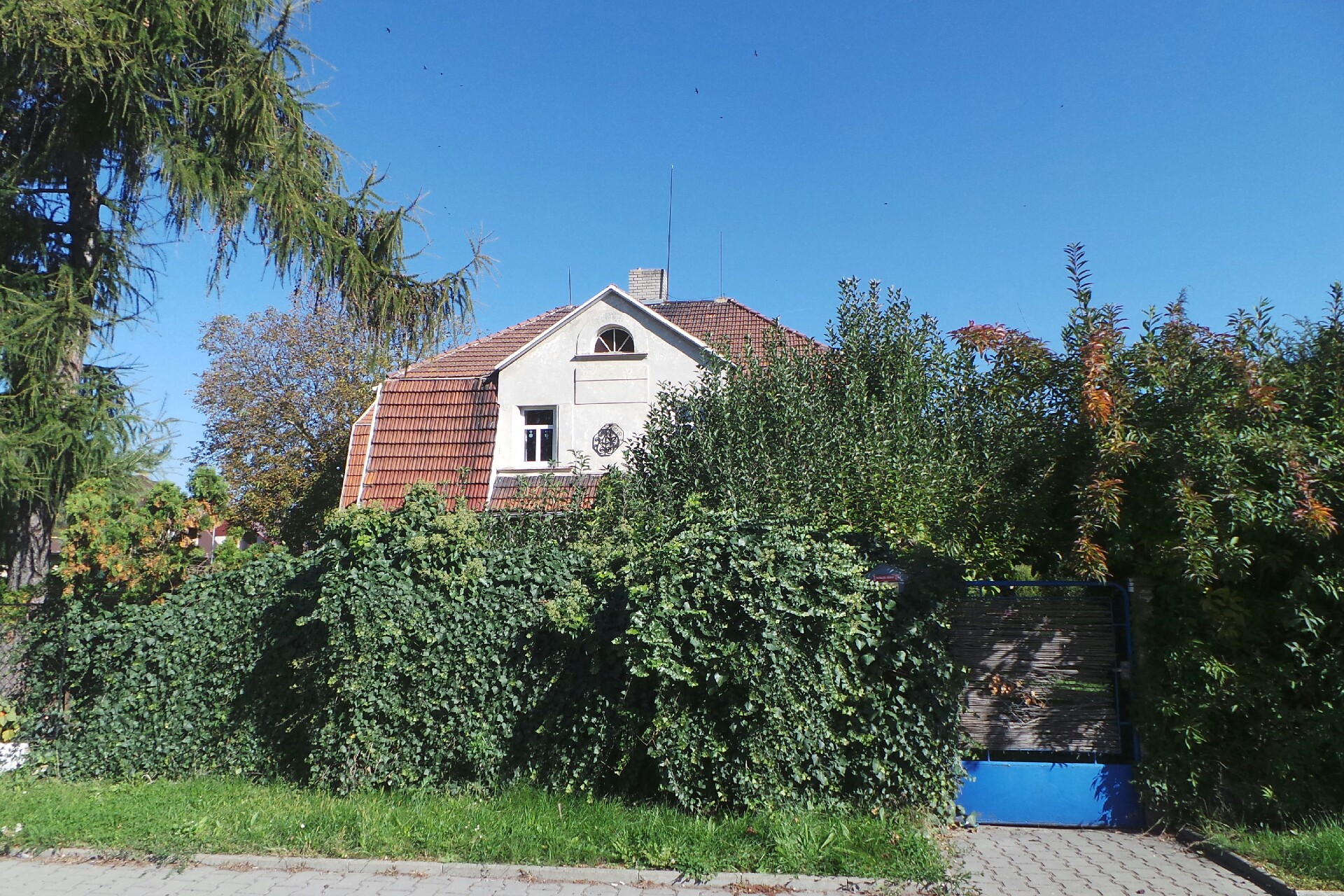 KONEKO marketing, s.r.o.