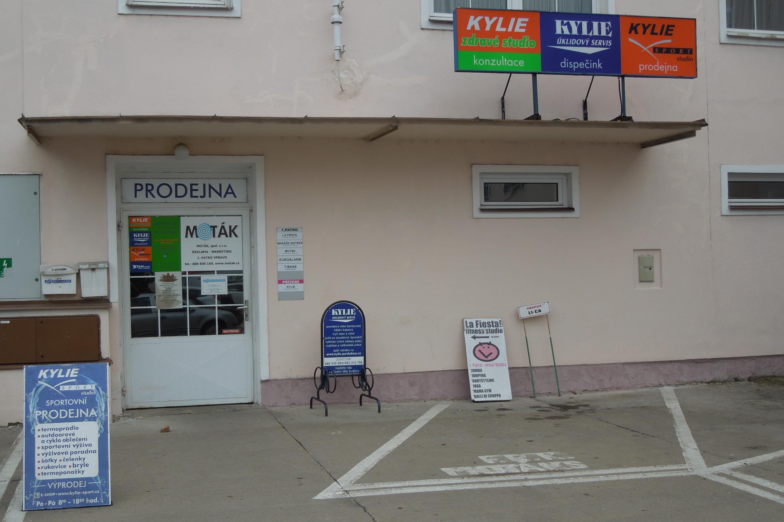 Malířské práce Jana Karásková