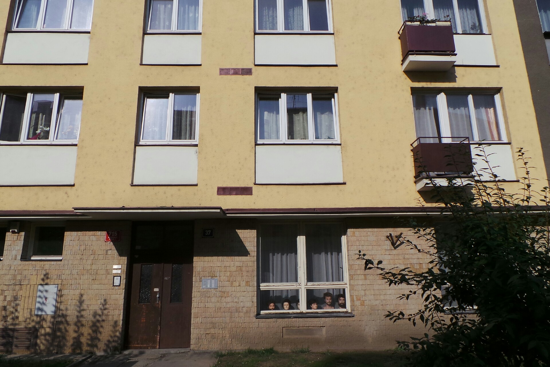 MUDr. Marie Štědrá foto 1