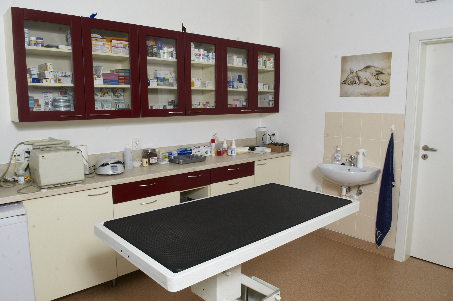 Veterinární klinika Michle - MVDr. David Jíra foto 6