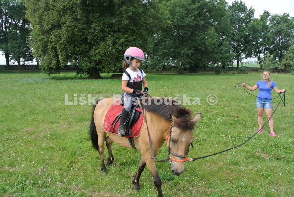 Liška Bystrouška - EKOškolka a jesle foto 3