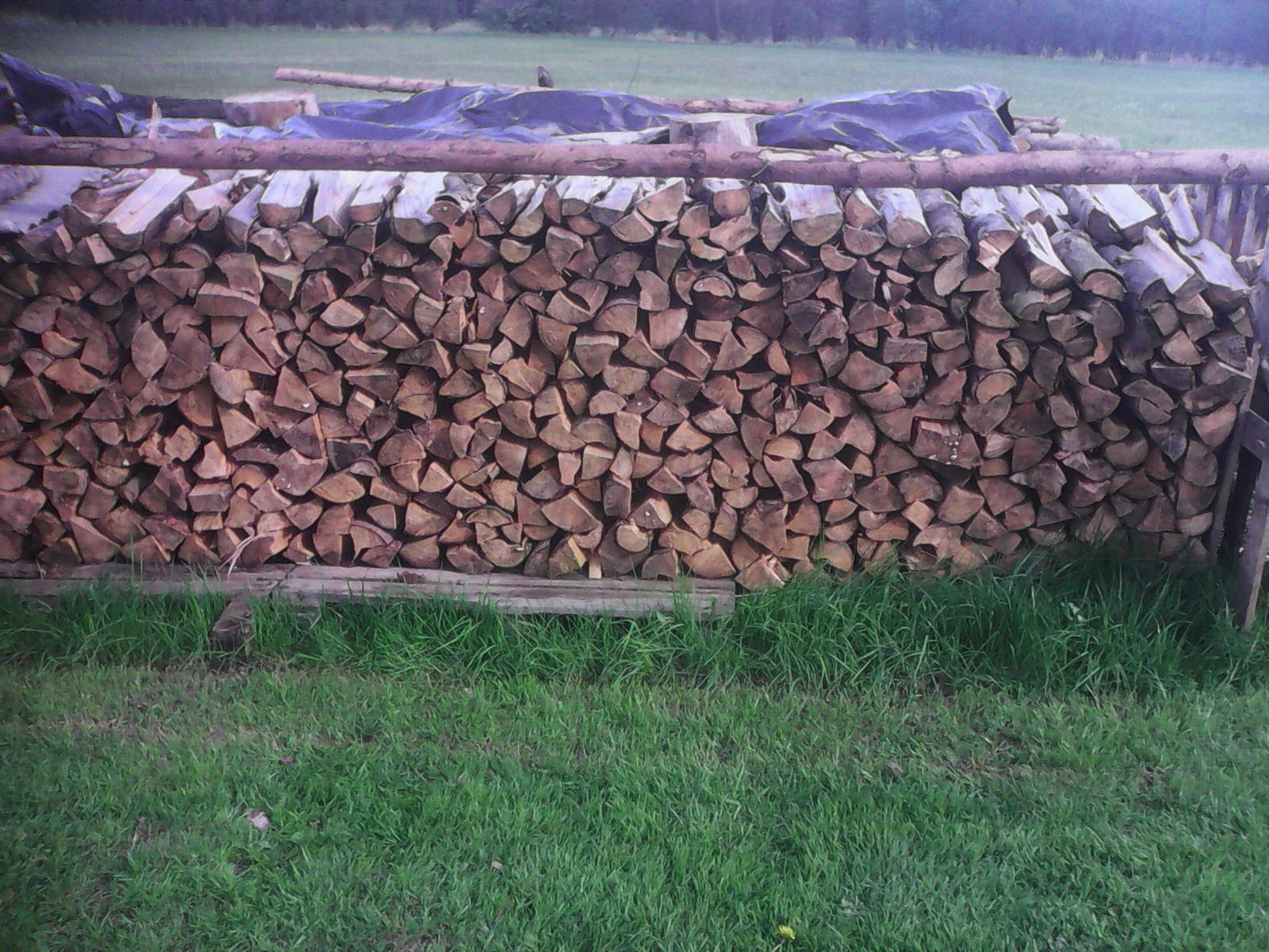 Palivové dřevo Hladík foto 3