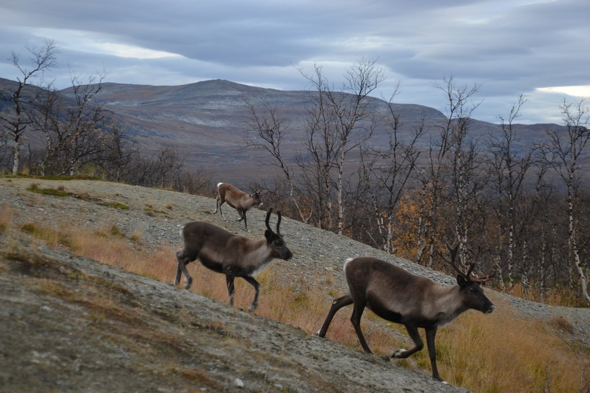 Dovolená Norsko - ViaMarpi foto 3