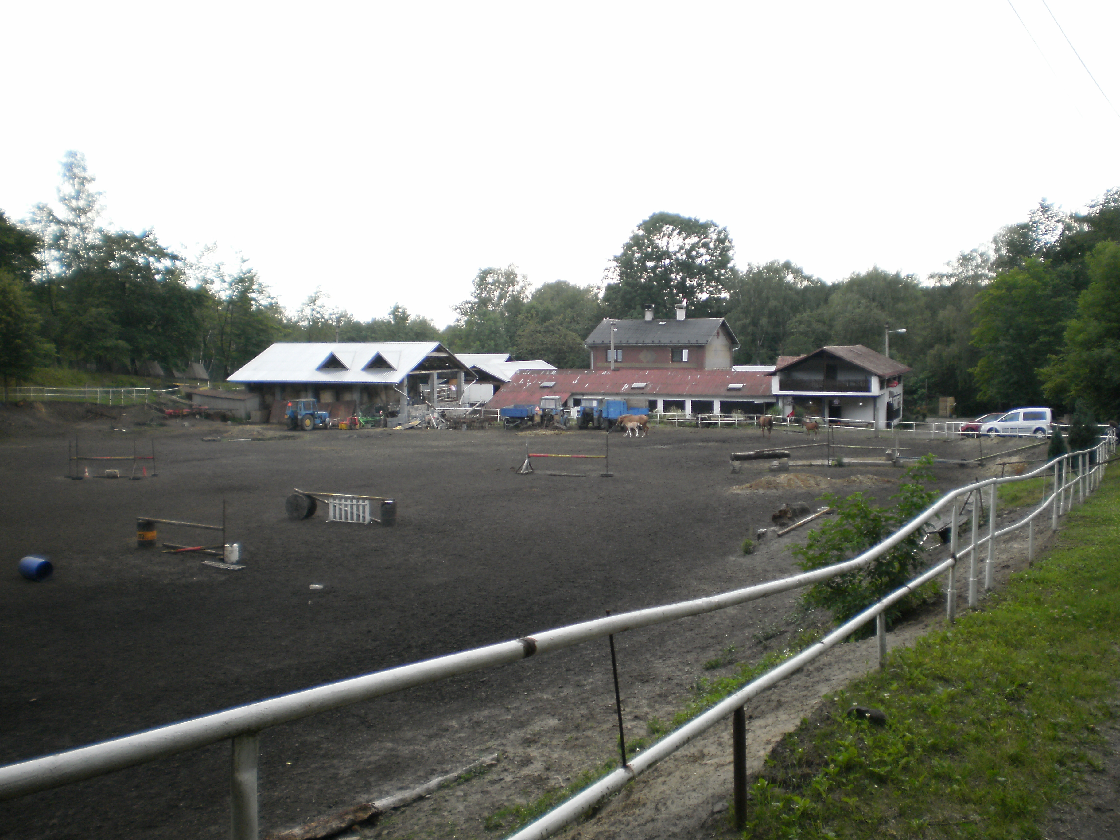 Markéta Hovjacká - trenér a cvičitel jezdectví