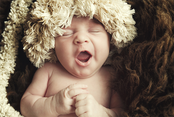 PANTHER fotostudio & ateliér foto 4