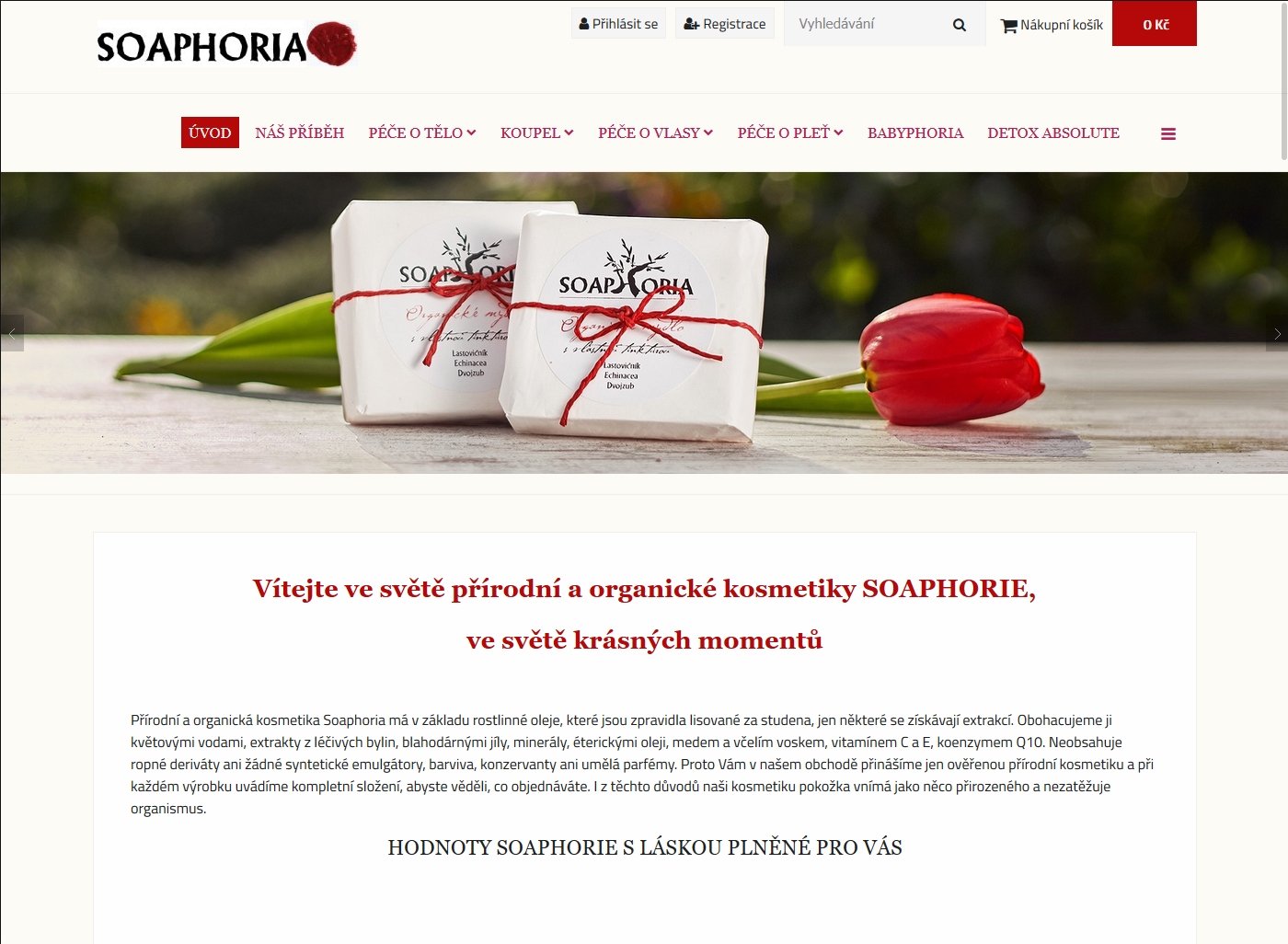 ByznysWeb.cz - Jednoduchá tvorba eshopů a www stránek foto 2