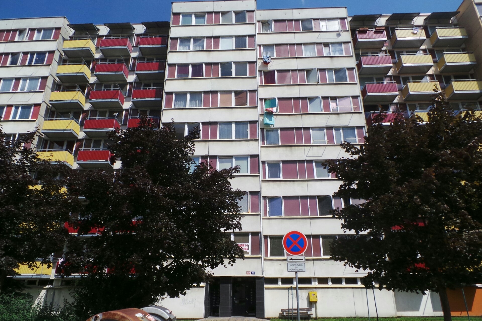 Renata Procházková