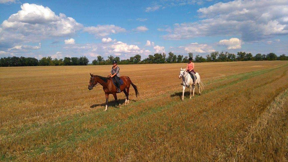 Zámek Branišovice foto 6