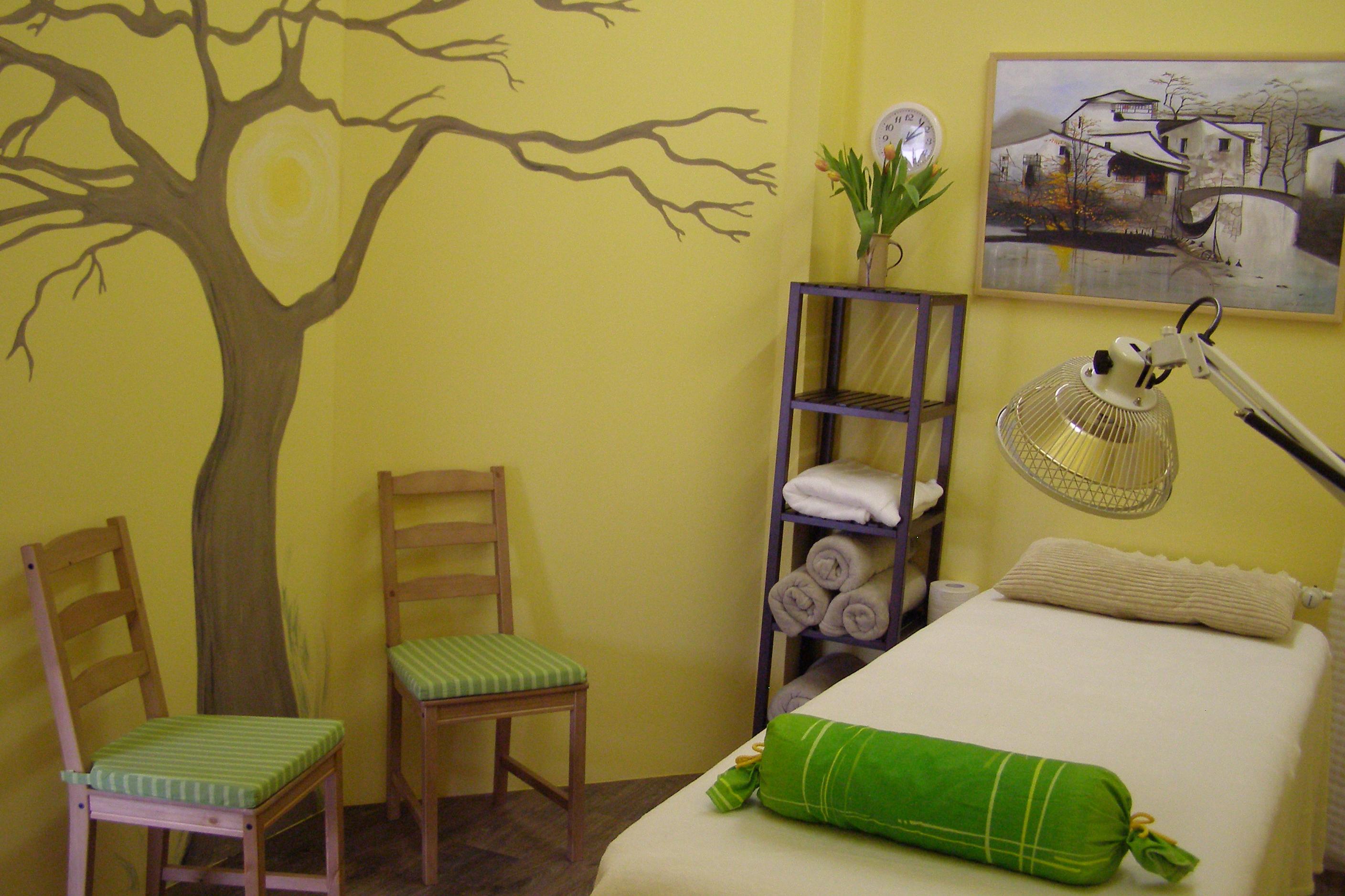 Radka Dohnalová, DiS - Centrum tradiční čínské medicíny Fénix