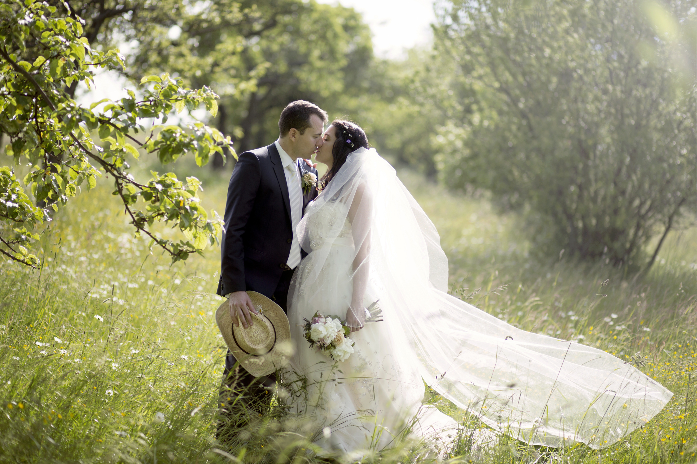 Probuď labuť foto 2