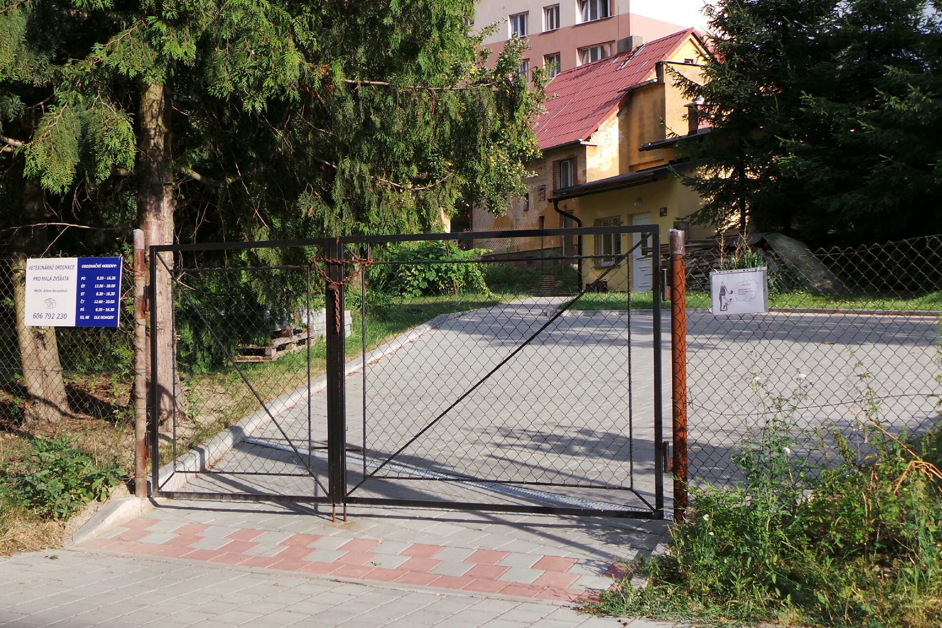 Pes v papučích foto 2