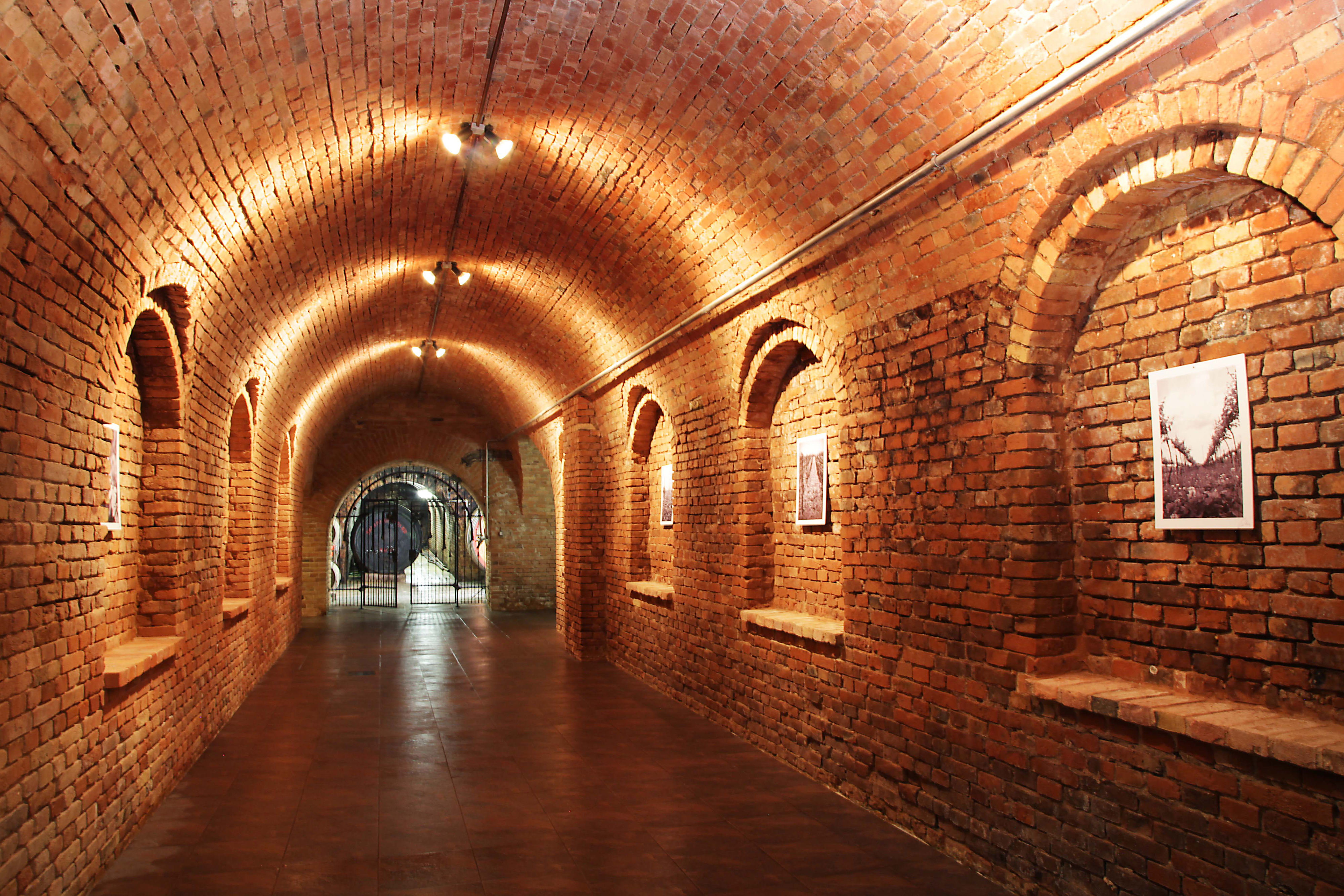 VINIUM, a.s. foto 4