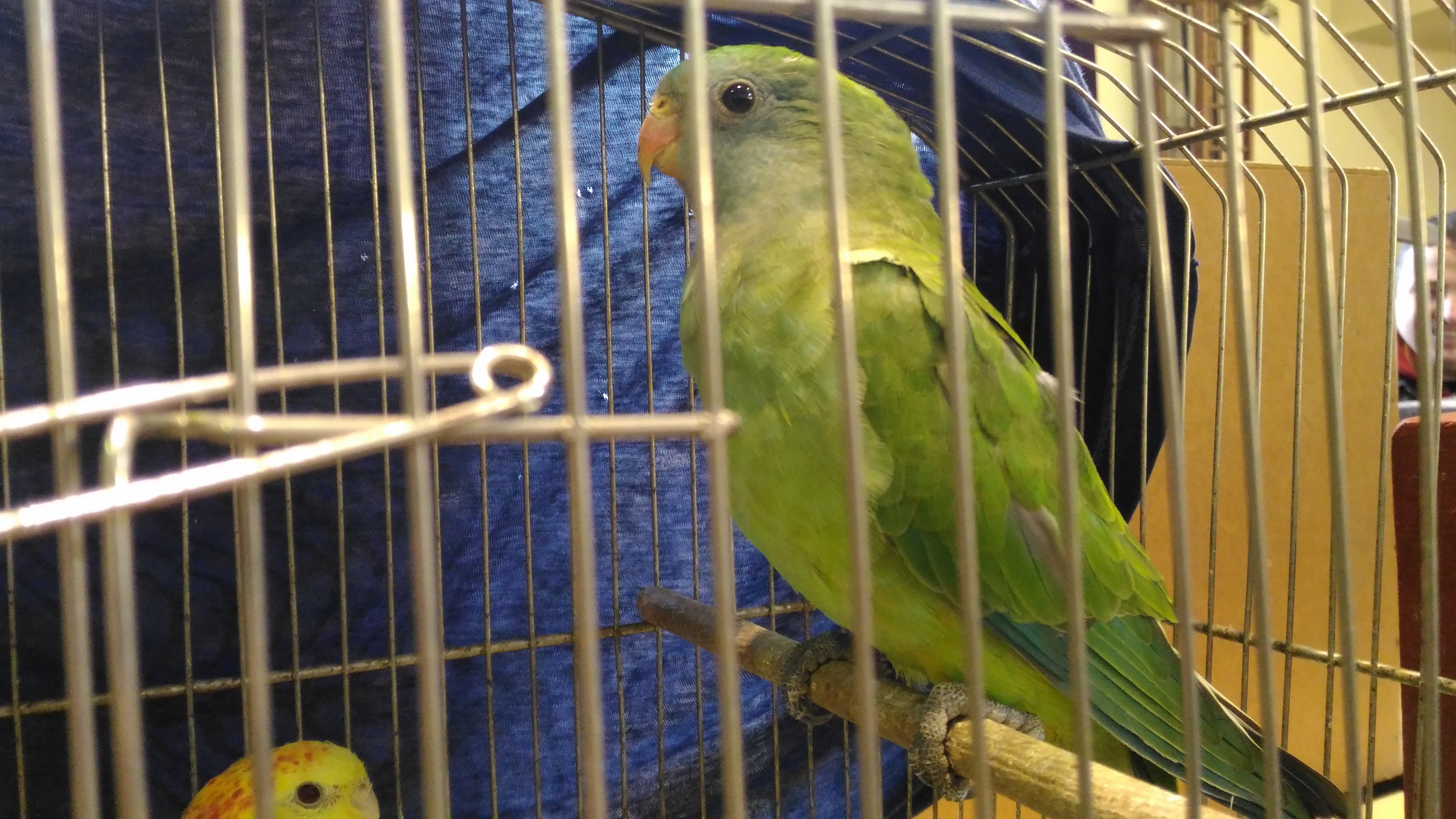 Faunatrhy Sobotka foto 2