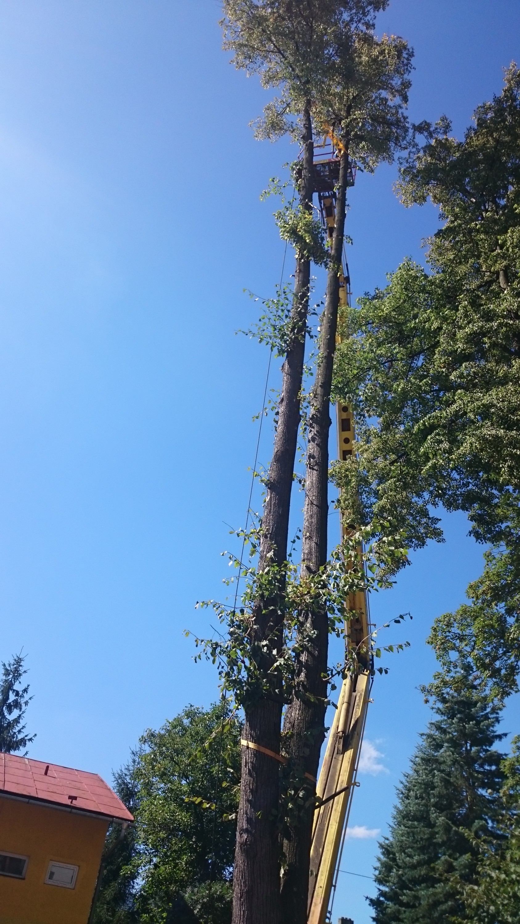 Kácení rizikových stromů - Michal Strnad foto 4