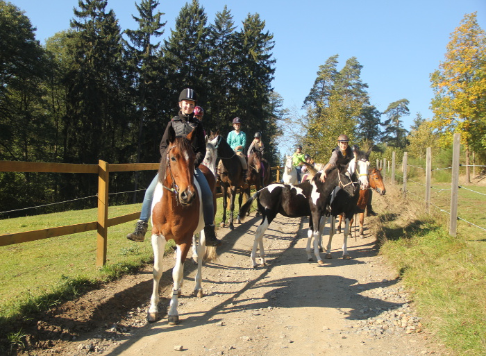 Ranč v údolí foto 4
