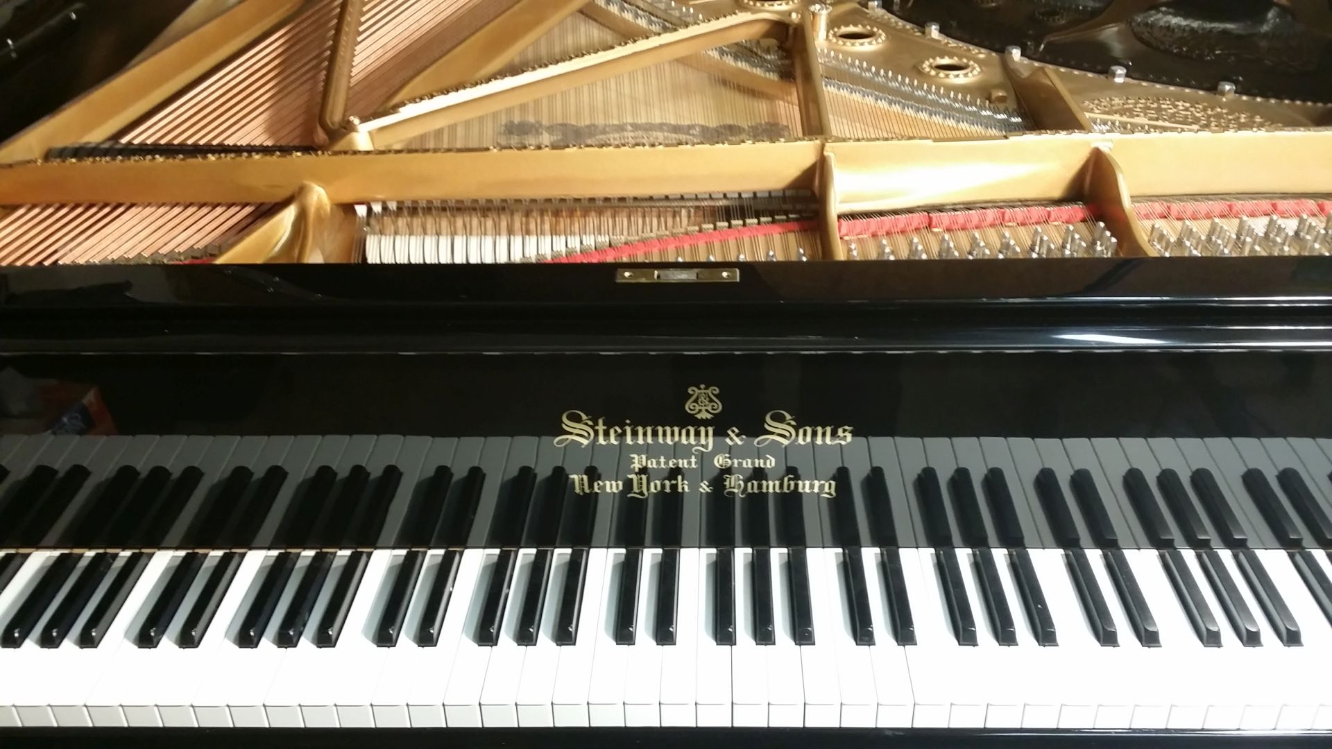 Karel Průcha - piana foto 2