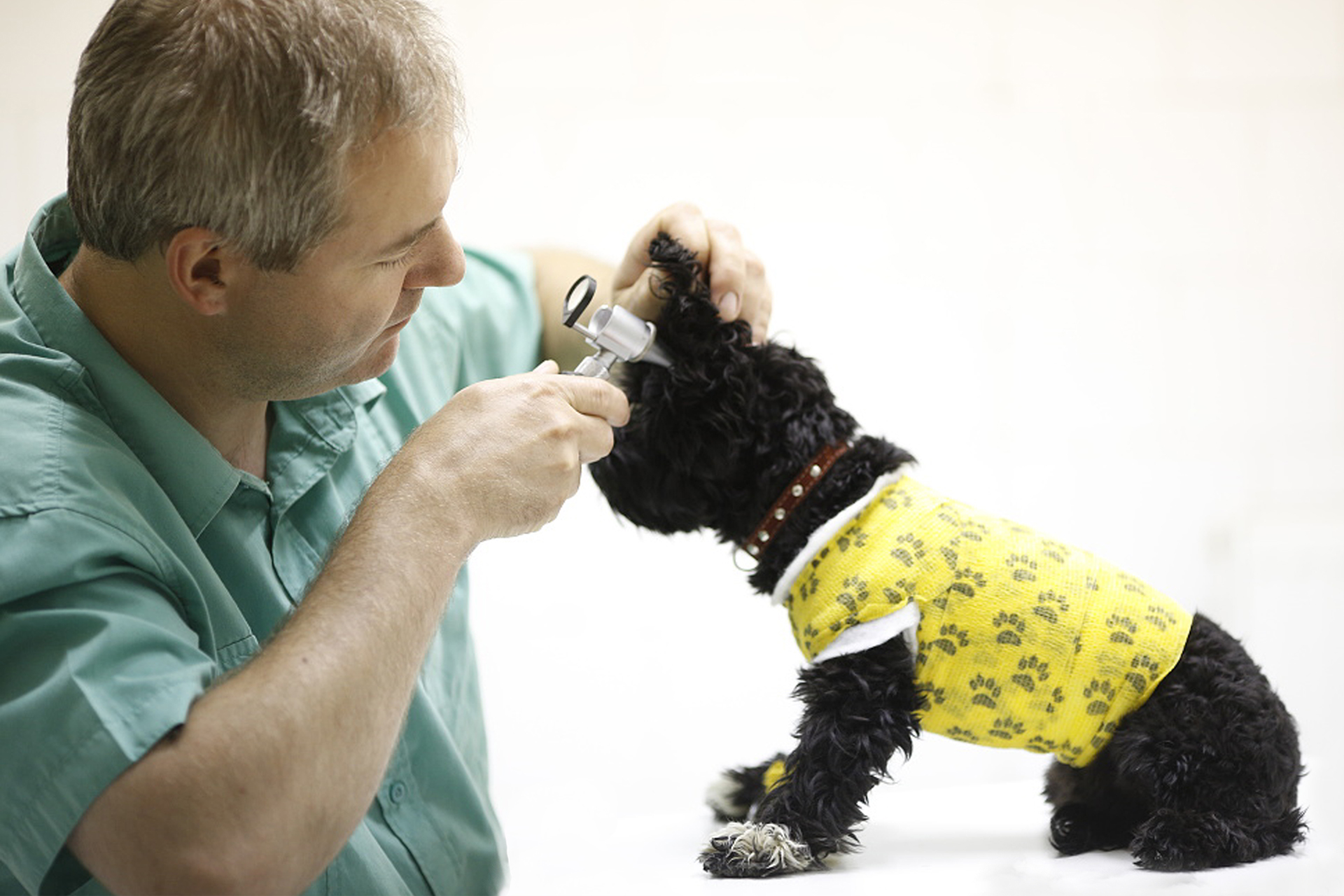 Veterinární nemocnice AA-Vet