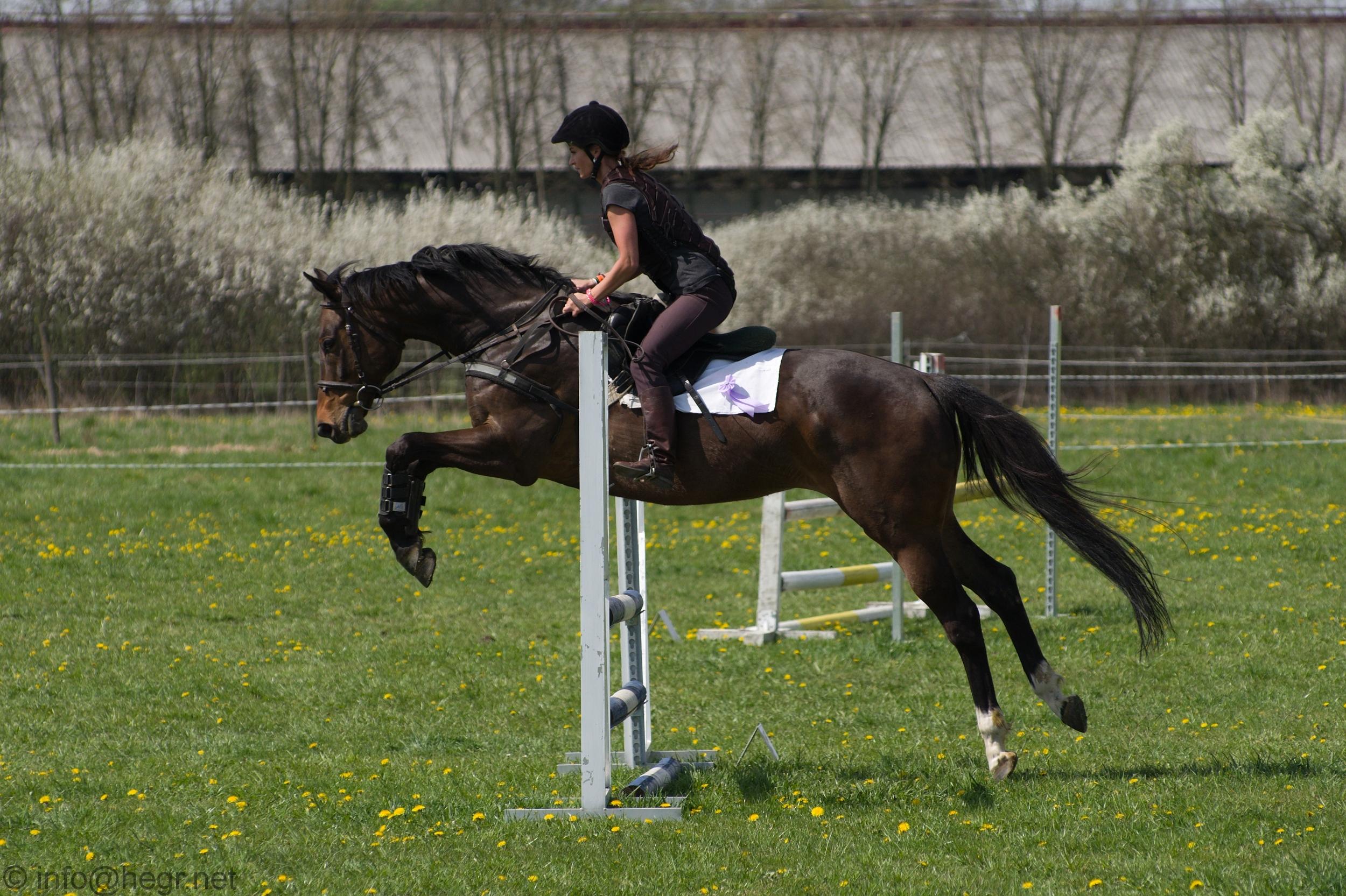 Jezdecký spolek Doudleby nad Orlicí foto 1