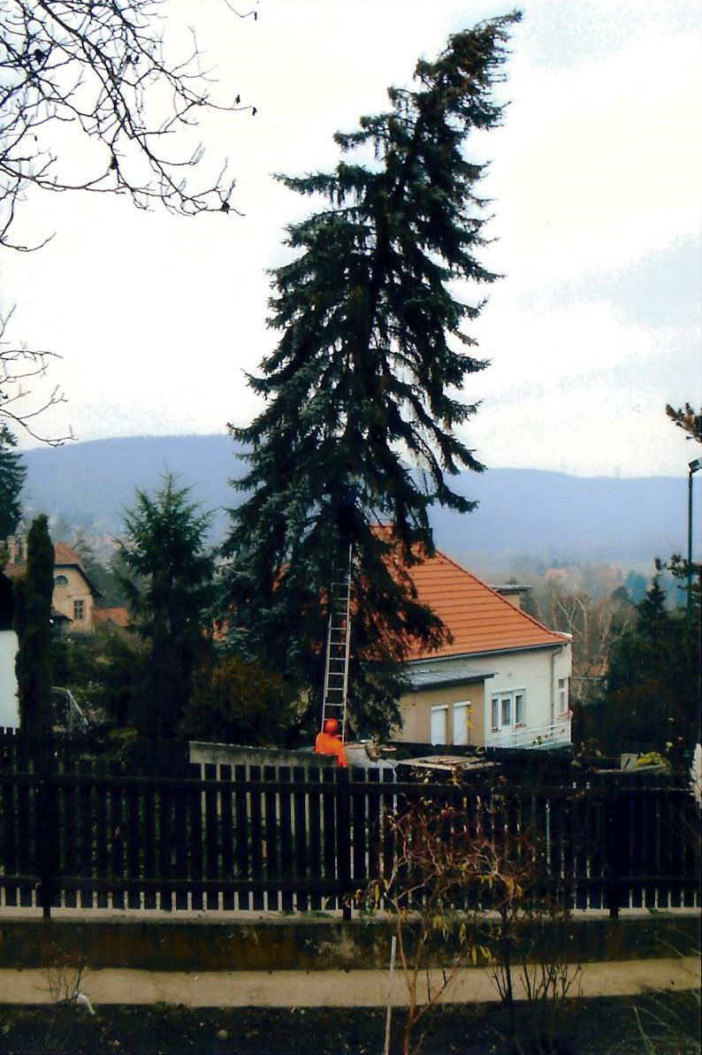 Hodinový manžel Tom foto 4