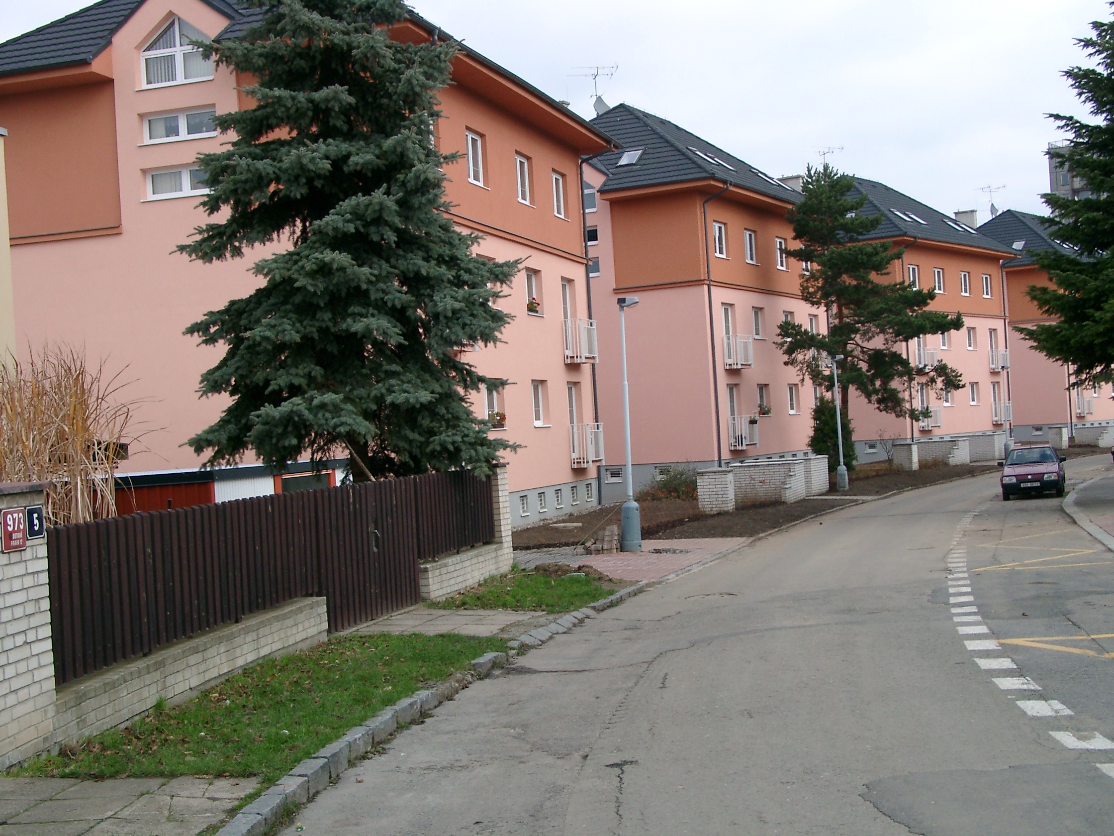 Kimbau foto 3