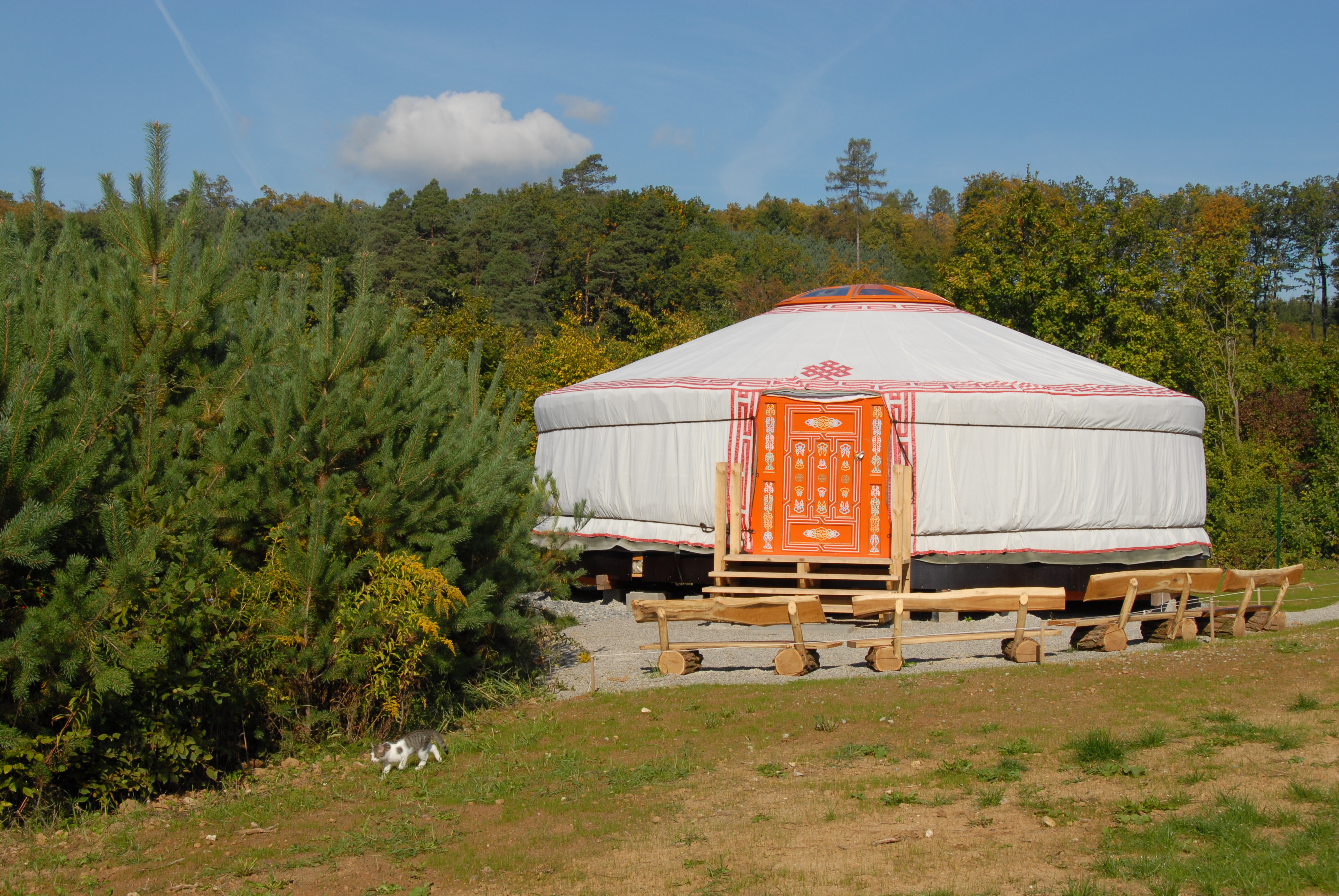 Lesní mateřská školka Šemíček foto 2