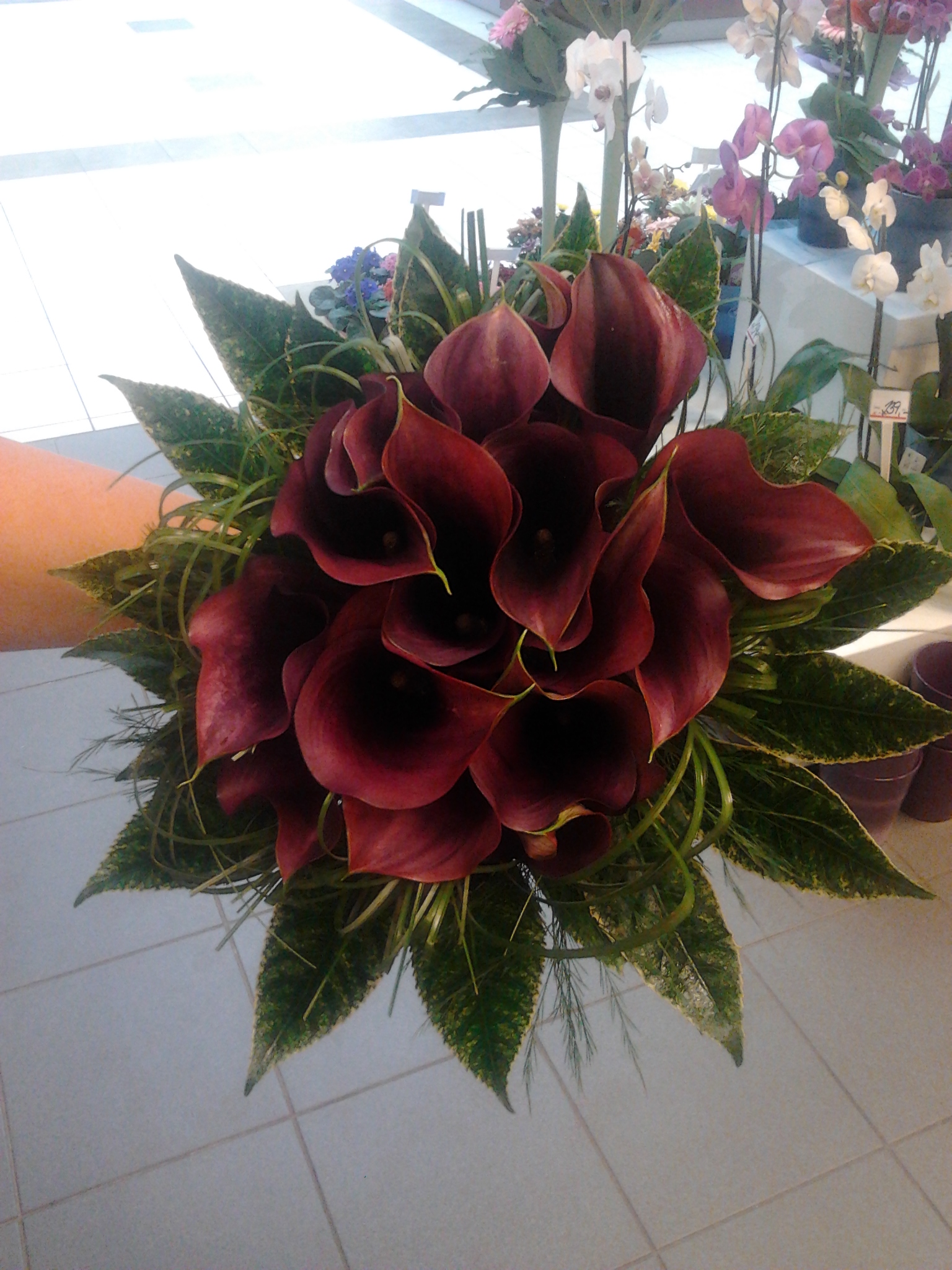 Květiny Lilien foto 4