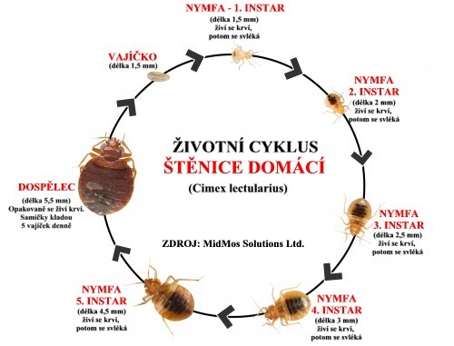 Velká deratizace J.M.Sieber foto 2